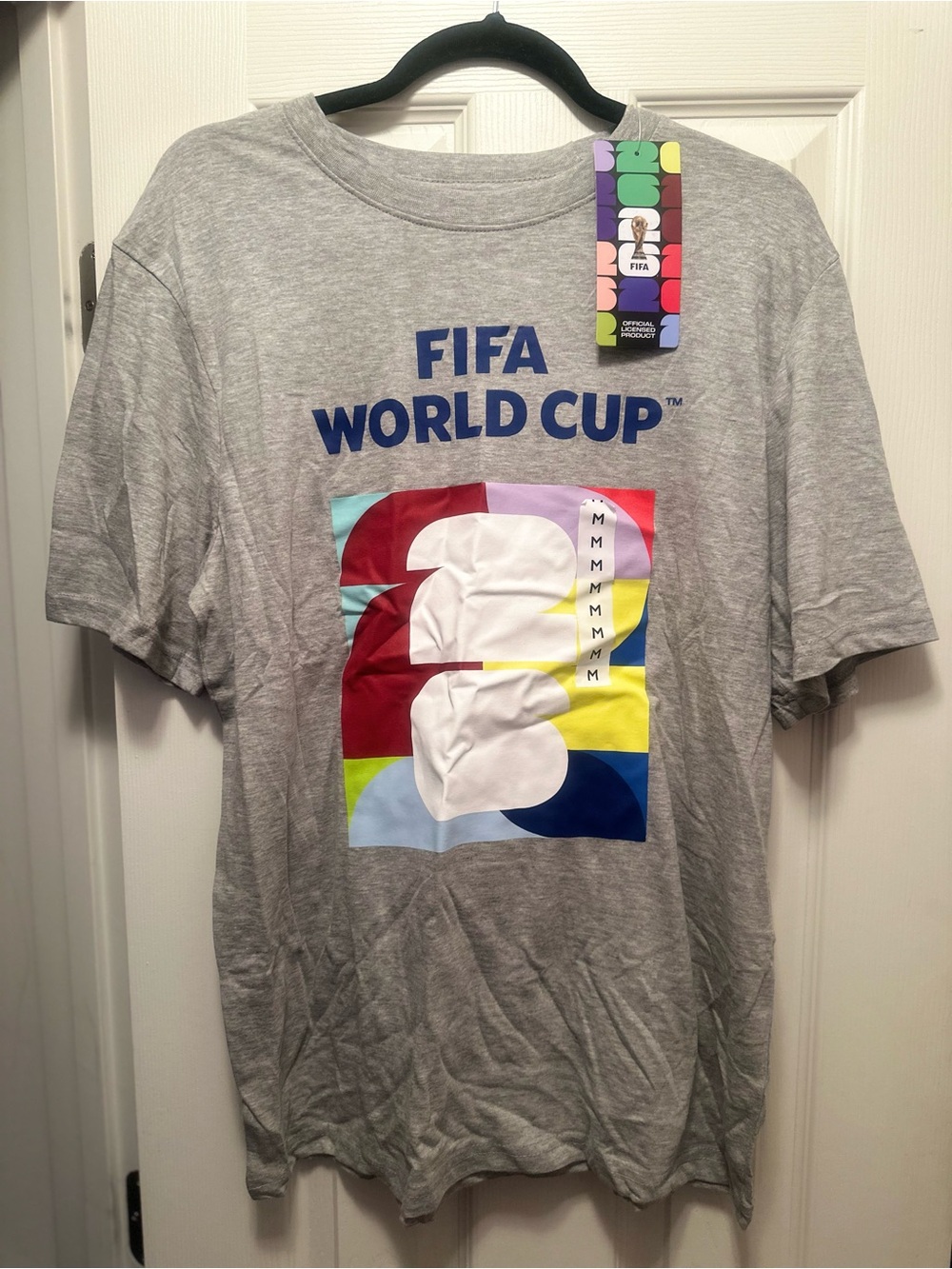 FIFA World Cup Men's Grey Graphic Short Sleeve Tee